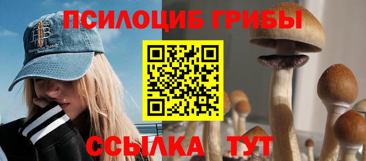 Галлюциногенные грибы Cubensis  купить  цена  Югорск  Псилоцибиновые грибы Psilocybine cubensis  Вход с VPN 